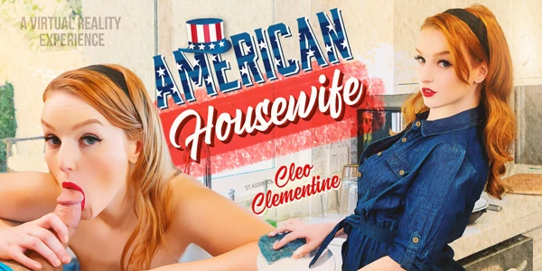 American Housewife VR Adult Videos