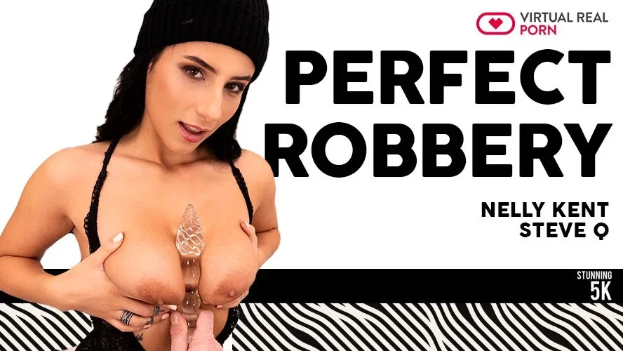 Perfect Robbery - Sexy Breaking and Entering VR Adult Videos