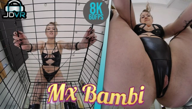 Bambi's Domination VR Adult Videos