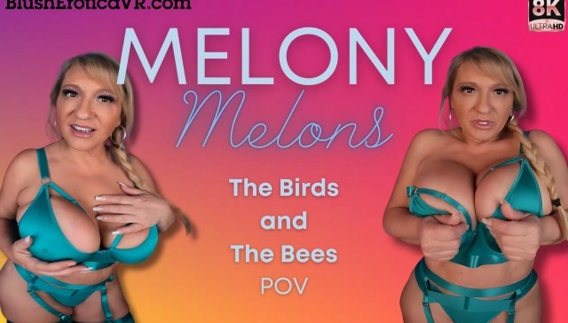 The Birds And The Bees VR Adult Videos