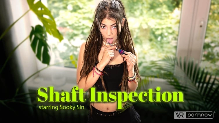 Shaft Inspection Starring Sooky Sin VR Adult Videos